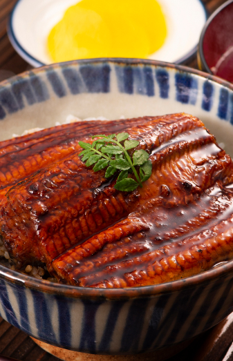 イメージ:西日本養鰻のうなぎ